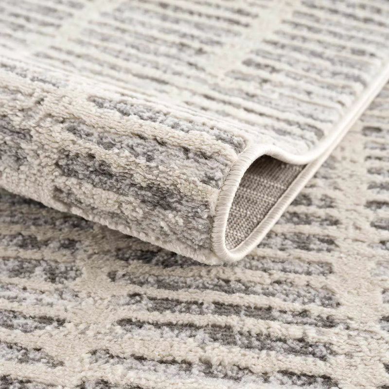 Aricin Gray Area Rug by Boutique Rugs