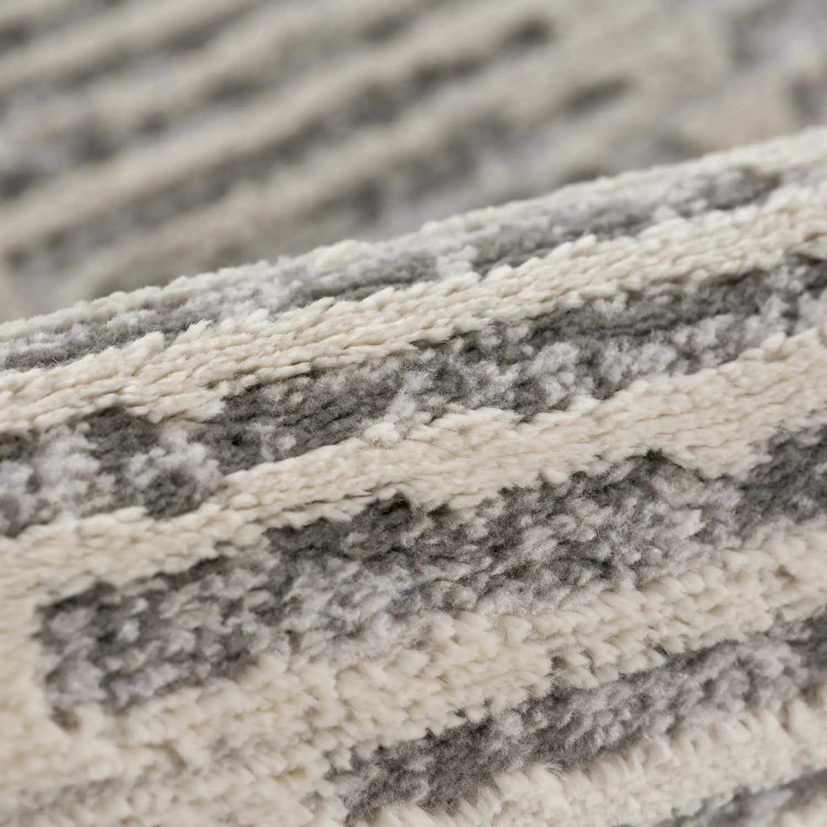 Aricin Gray Area Rug, photo 11 of 18