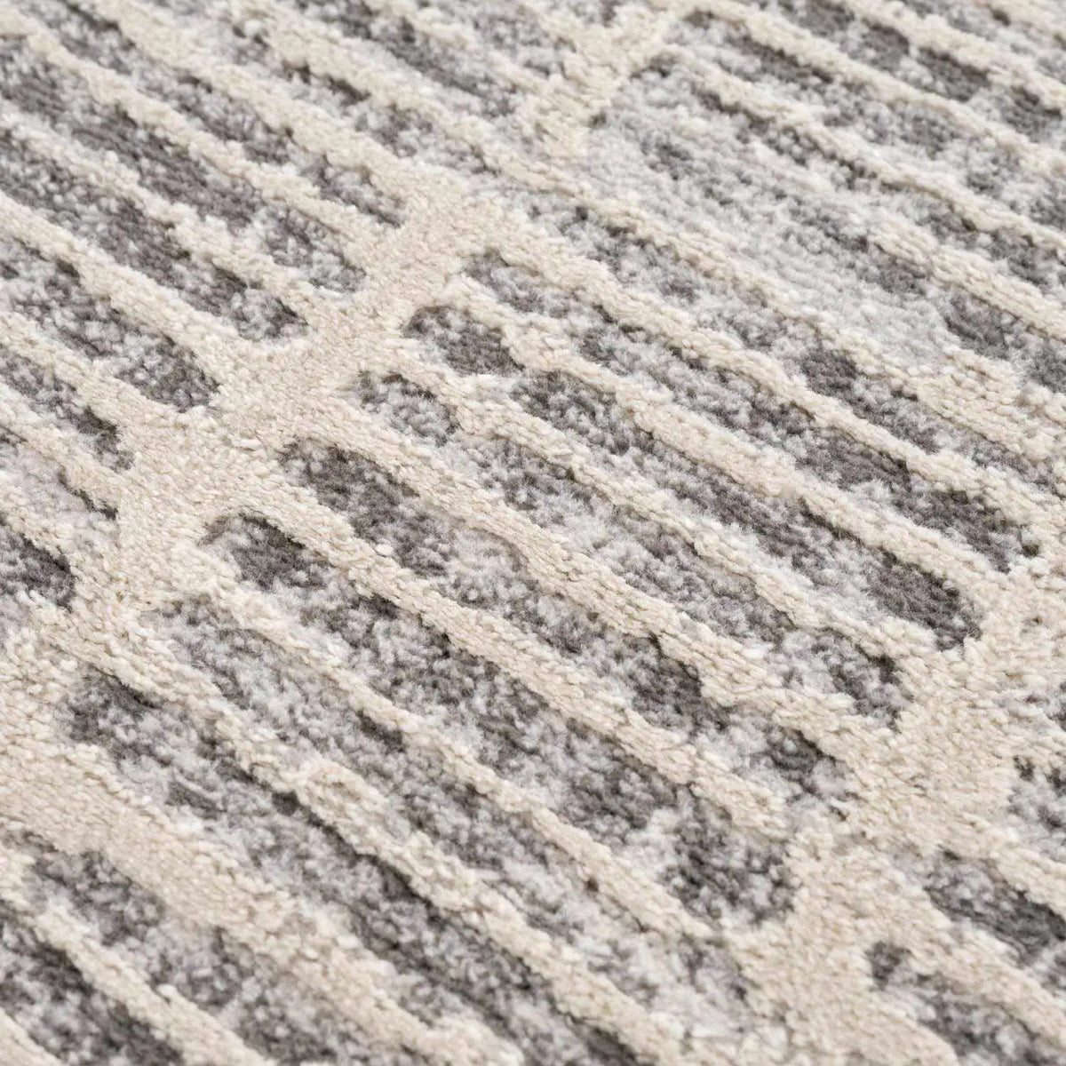 Aricin Gray Area Rug, photo 12 of 18
