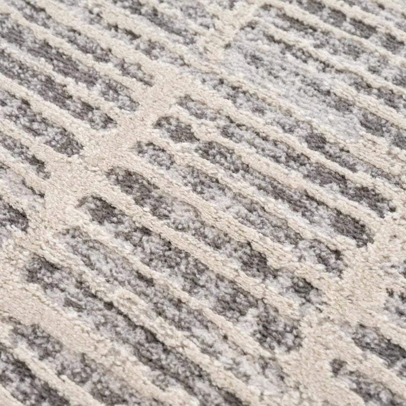 Aricin Gray Area Rug by Boutique Rugs