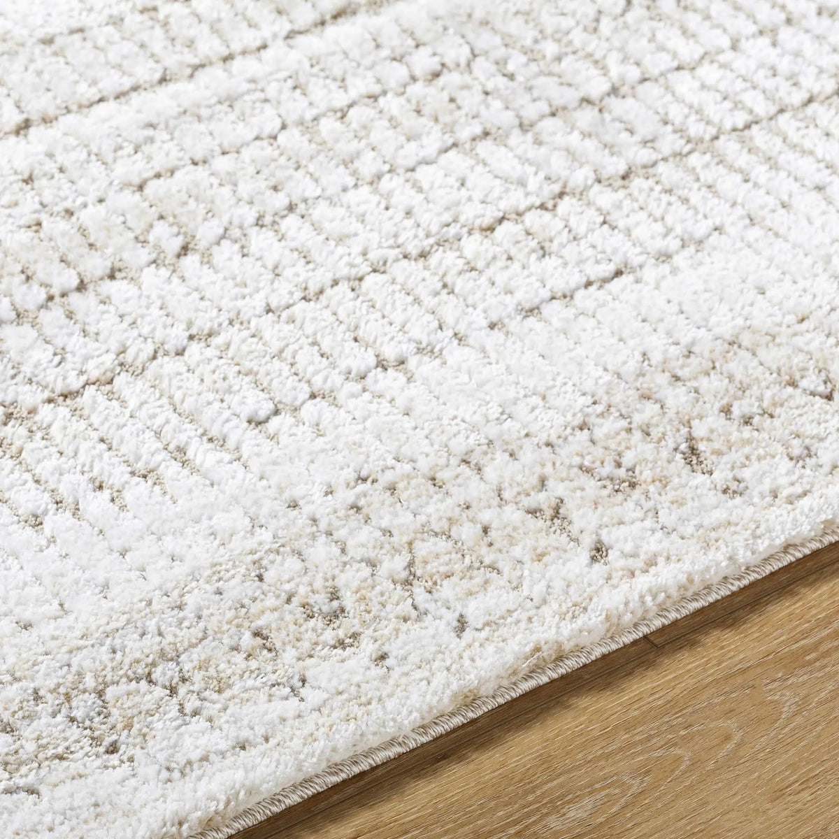 Akande Shag Area Rug - Clearance, photo 7 of 7