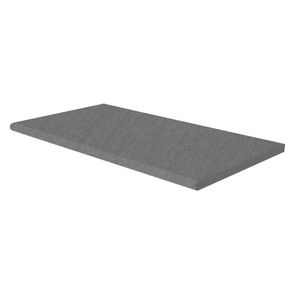 Bluestone Matte Porcelain Pool Copings 13x24