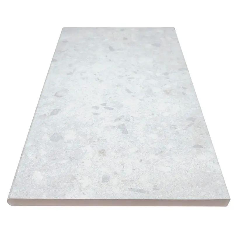 Terrazo Glacier Matte Porcelain Pool Copings 13x24 angled view