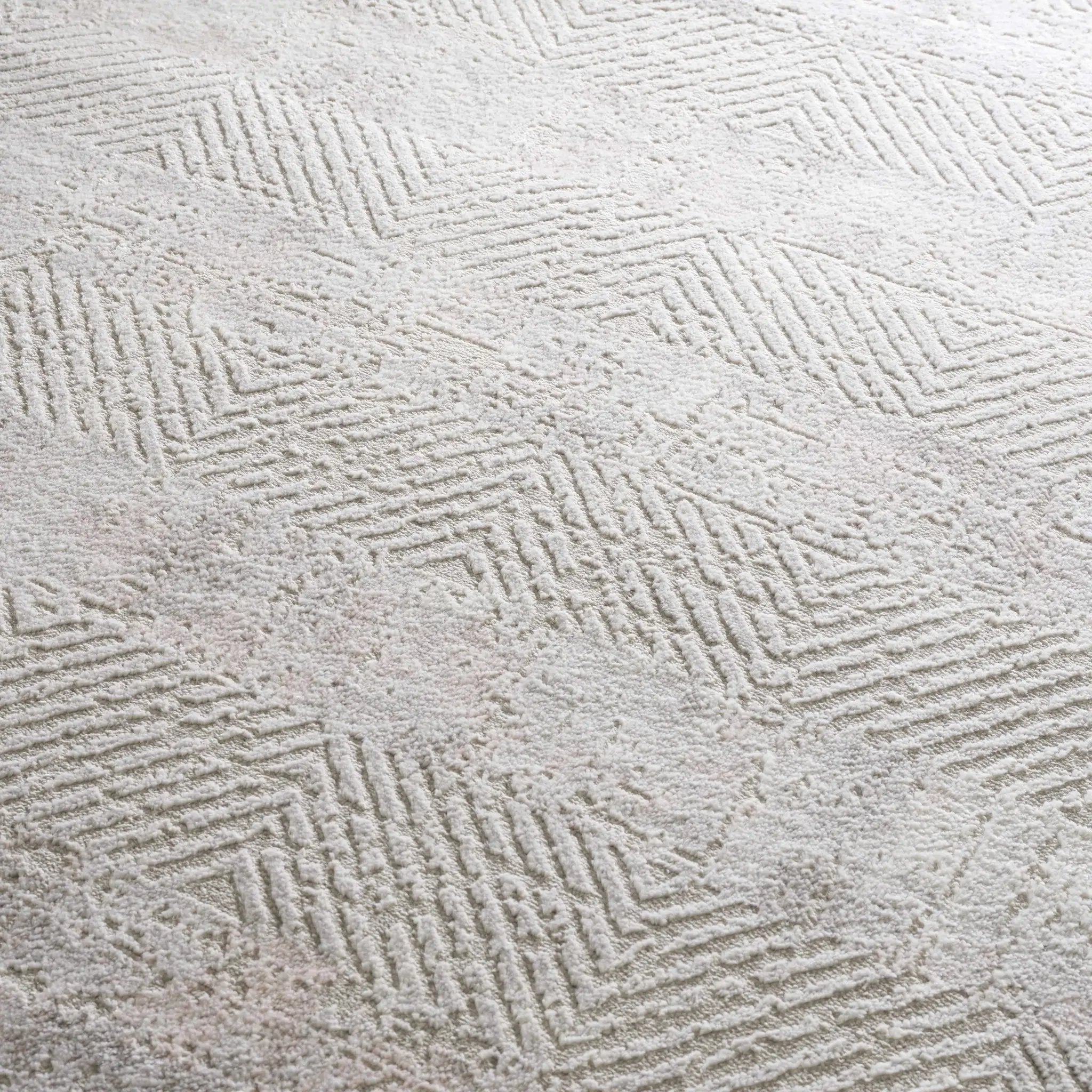 Bucky Area Rug by Hauteloom
