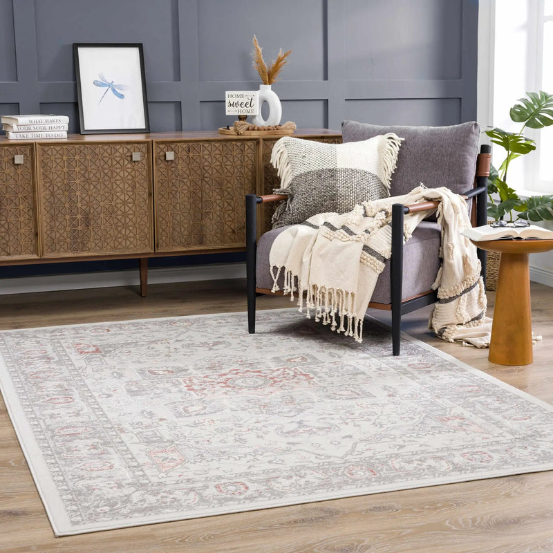 Damla Area Rug - Clearance by Boutique Rugs