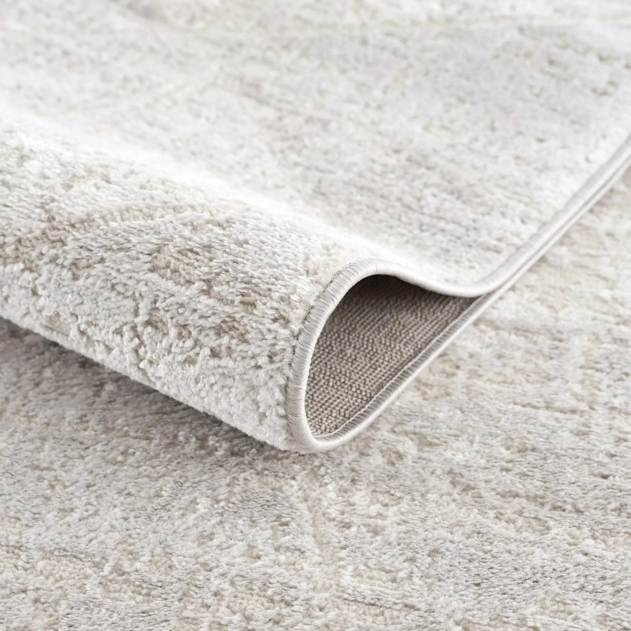 Basia Area Rug by Hauteloom