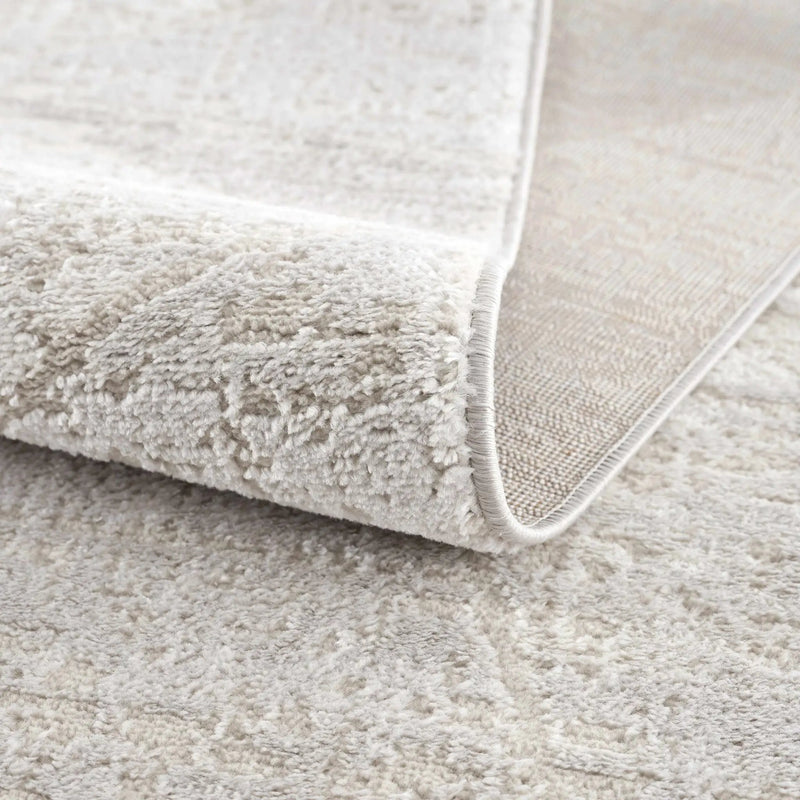Basia Area Rug by Hauteloom