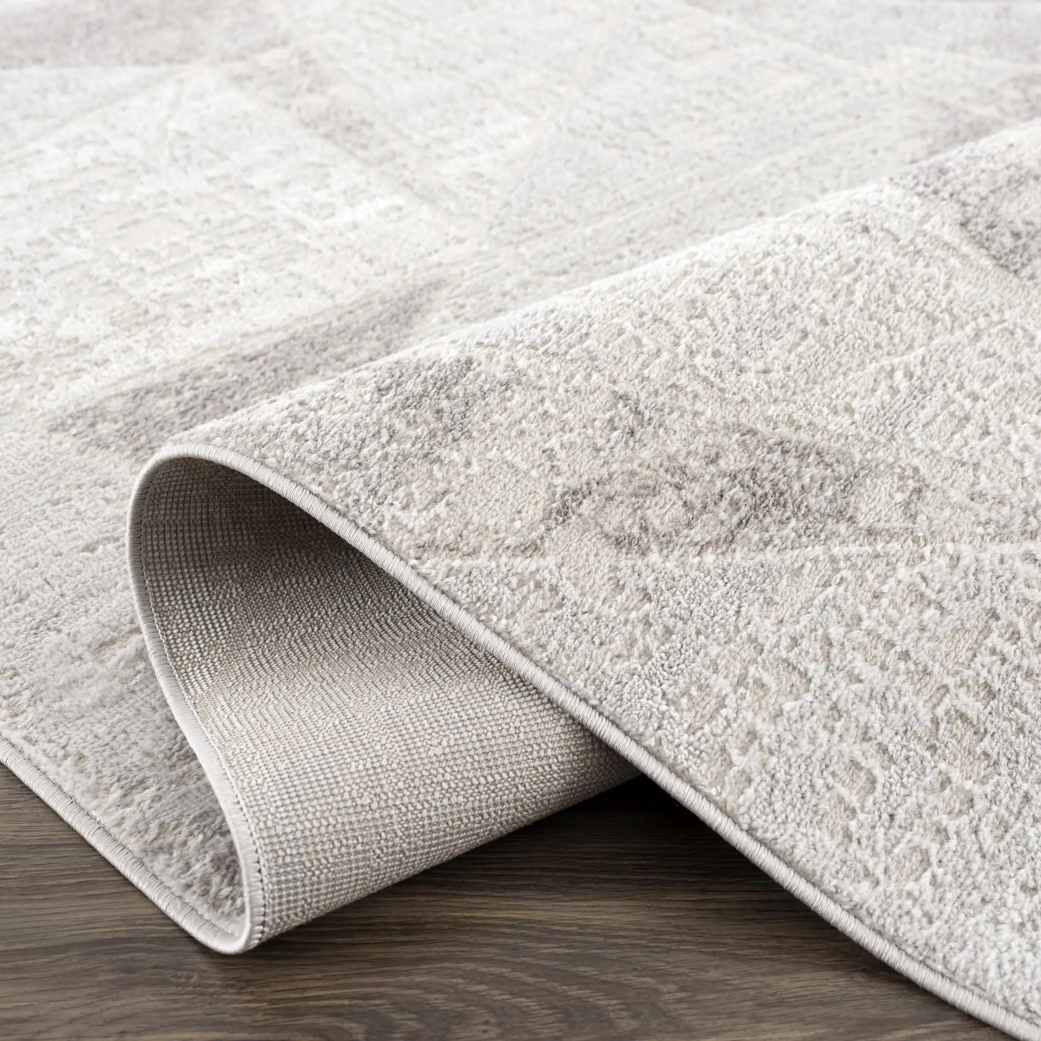 Basia Area Rug by Hauteloom