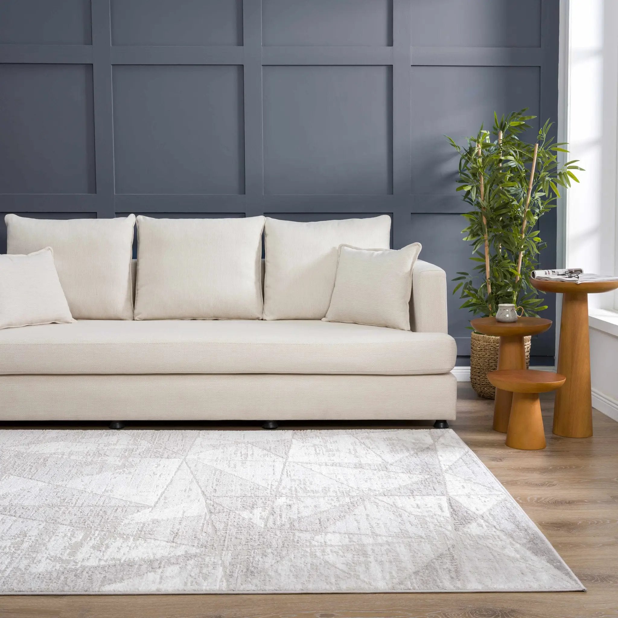 Basia Area Rug by Hauteloom
