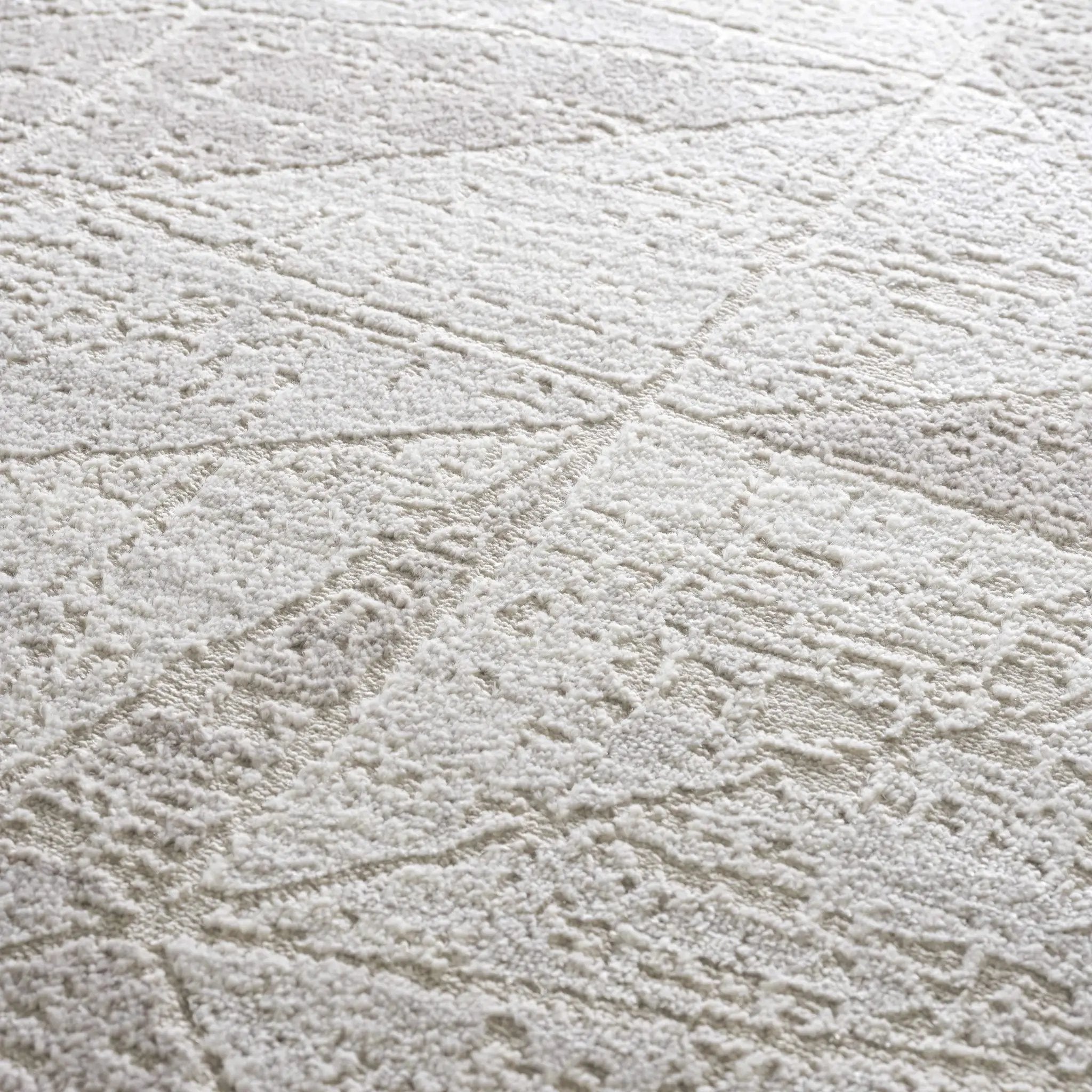 Basia Area Rug by Hauteloom