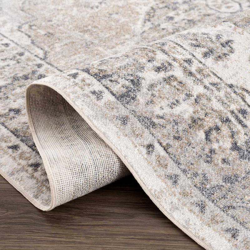 Rudo Beige Washable Area Rug by Hauteloom