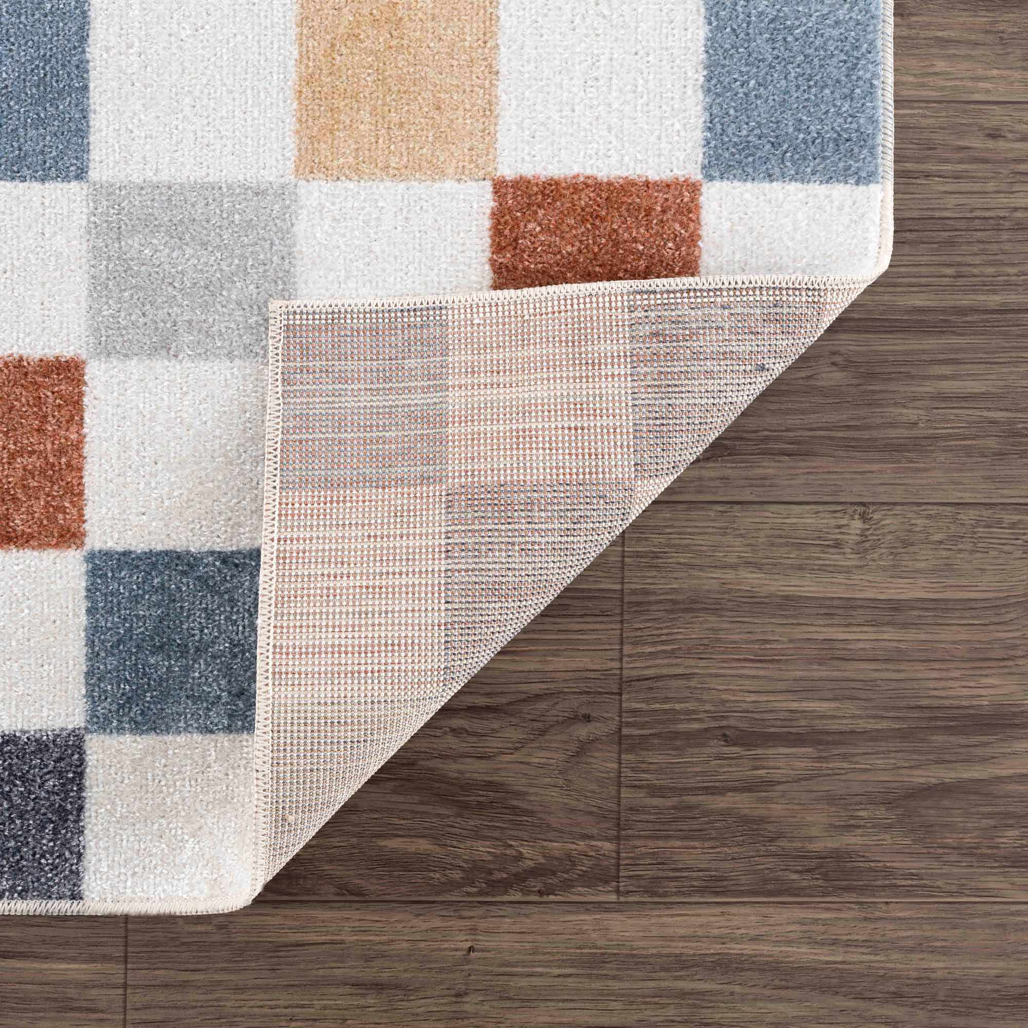 Alie Colorful Checkered Washable Rug by Hauteloom