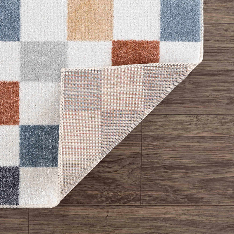 Alie Colorful Checkered Washable Rug by Hauteloom