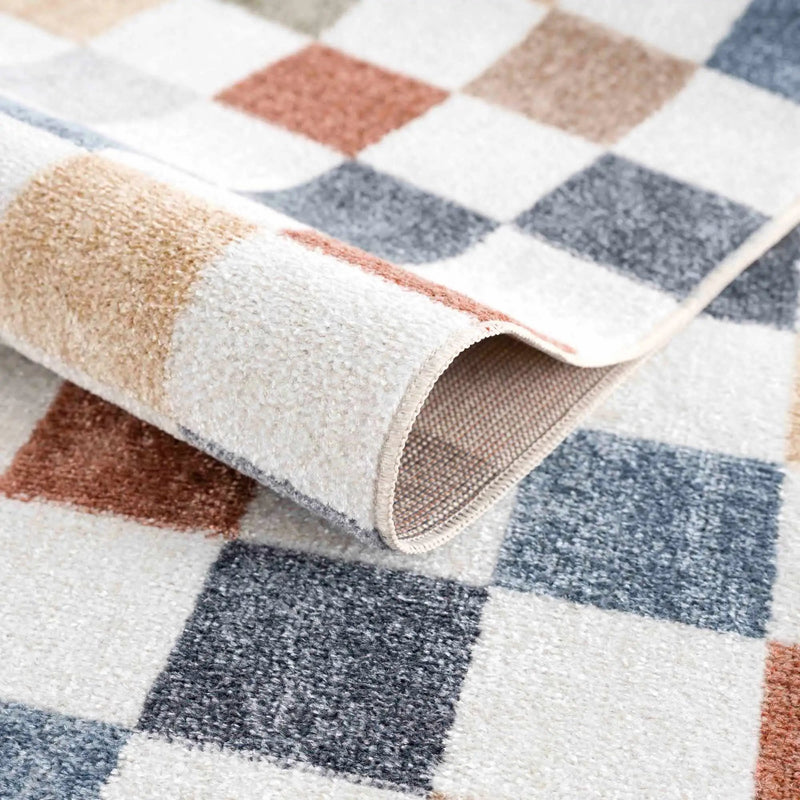 Alie Colorful Checkered Washable Rug by Hauteloom
