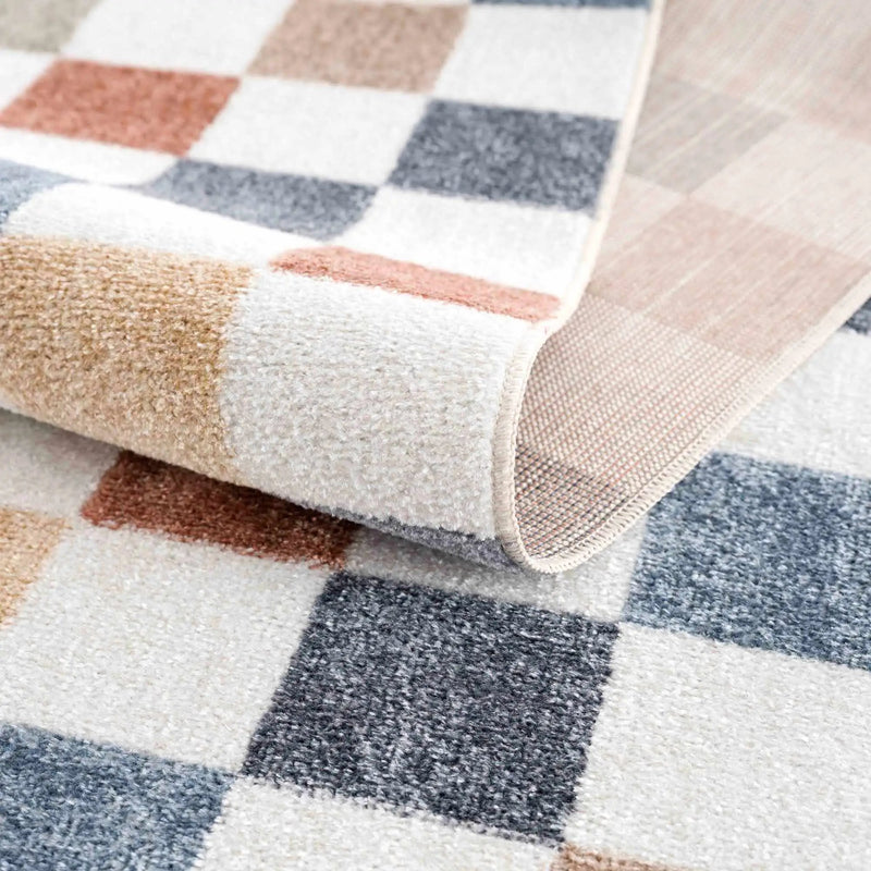 Alie Colorful Checkered Washable Rug by Hauteloom