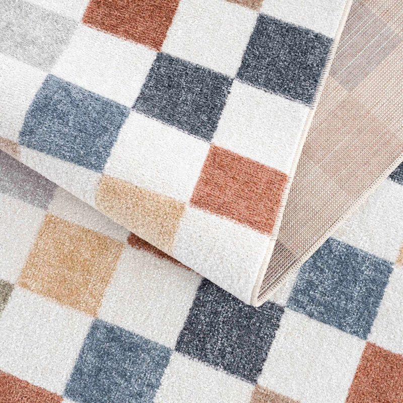 Alie Colorful Checkered Washable Rug by Hauteloom