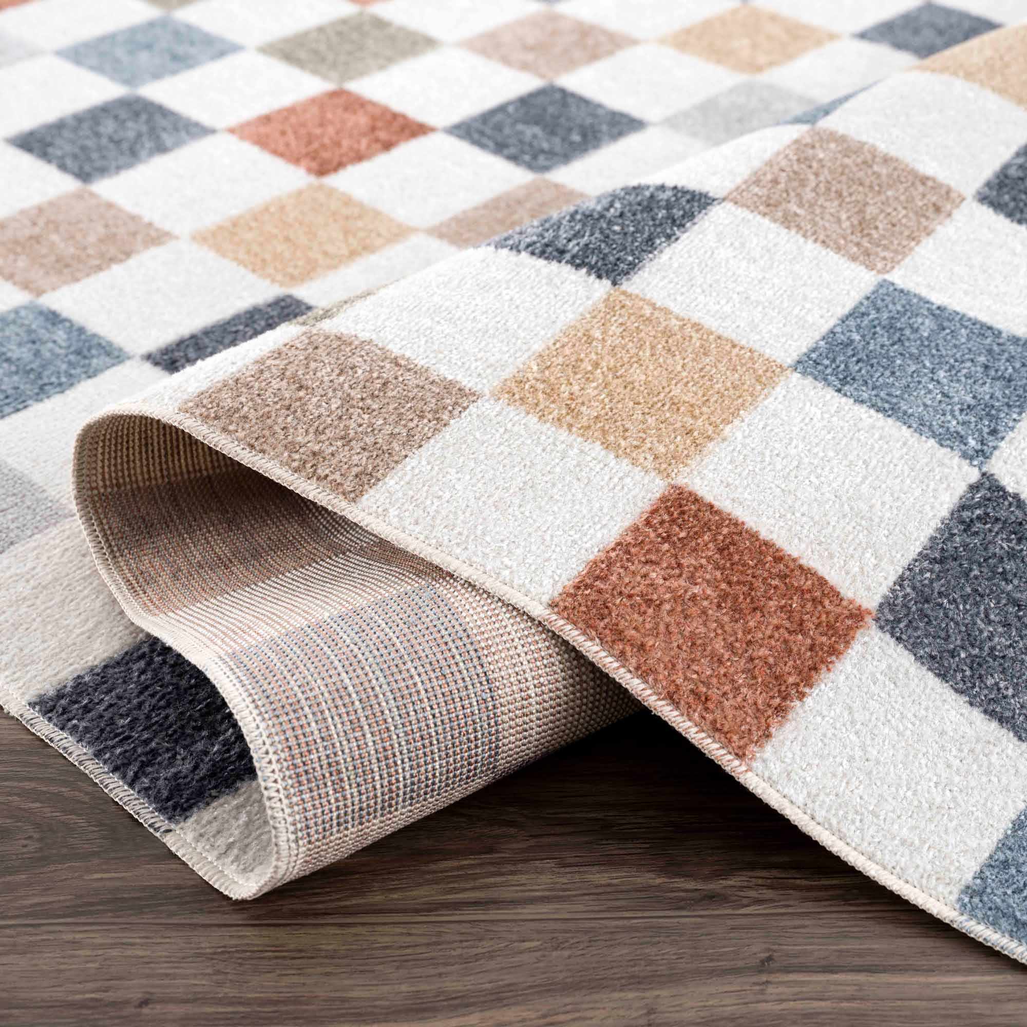Alie Colorful Checkered Washable Rug by Hauteloom