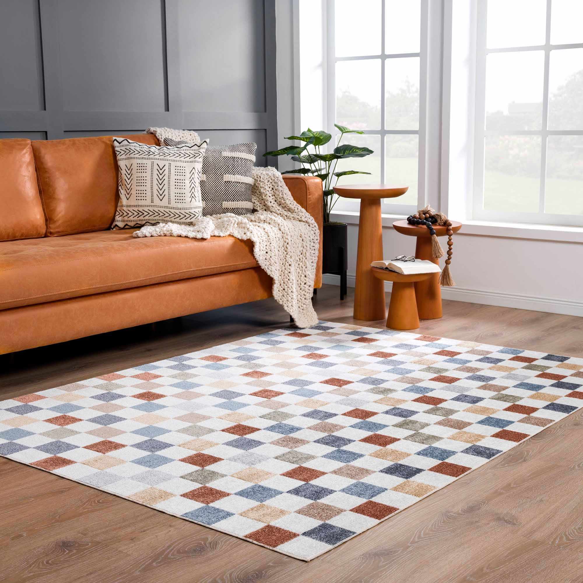 Alie Colorful Checkered Washable Rug by Boutique Rugs