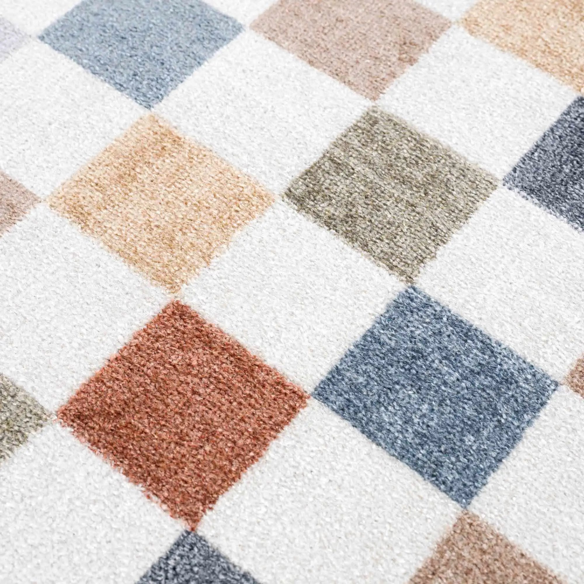 Alie Colorful Checkered Washable Rug by Hauteloom
