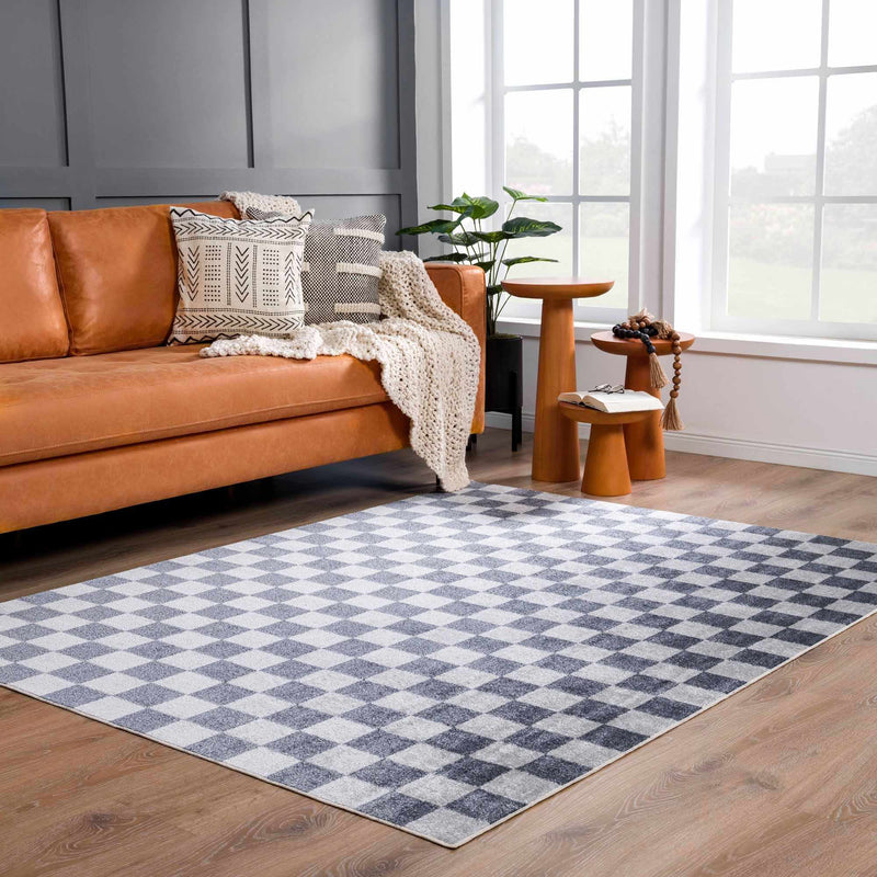 Alie Gray Checkered Washable Area Rug by Hauteloom
