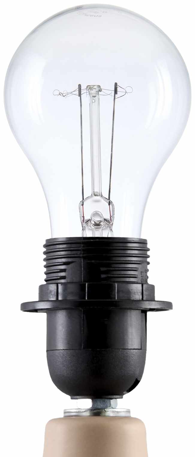 Lumellogno Coral Table Lamp by Boutique Rugs