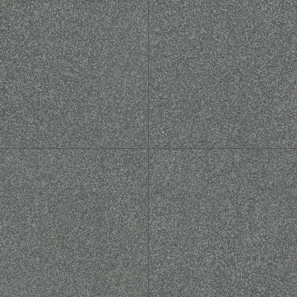 Gray Mist Granite Paver Flamed 24x24