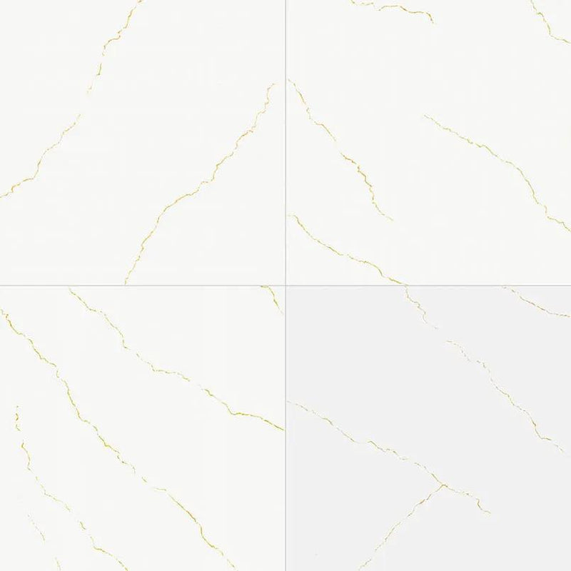 Miraggio Gold Matte Porcelain Pavers 24x24 by MSI Surfaces