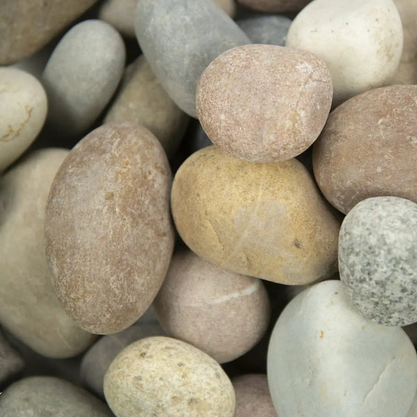 Amazon Multi Pebbles Natural Quartzite Pavers 5.40 inch