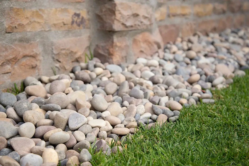 Amazon Multi Pebbles Natural Quartzite Pavers 5.40 inch in a finished room
