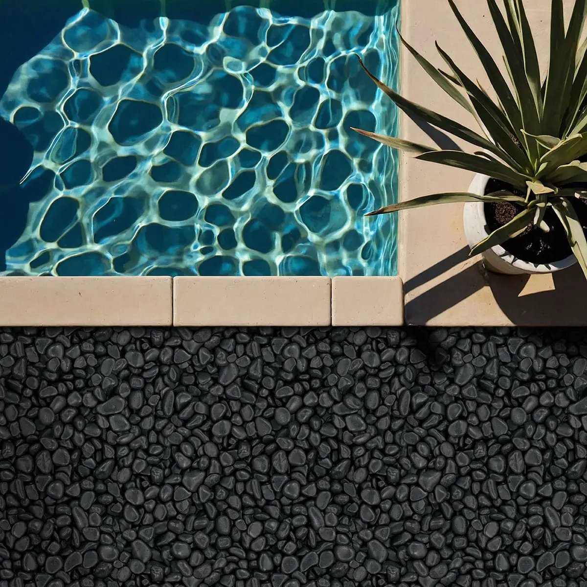Black Polished Pebbles Quartzite Pavers 0.00 inch in a finished room