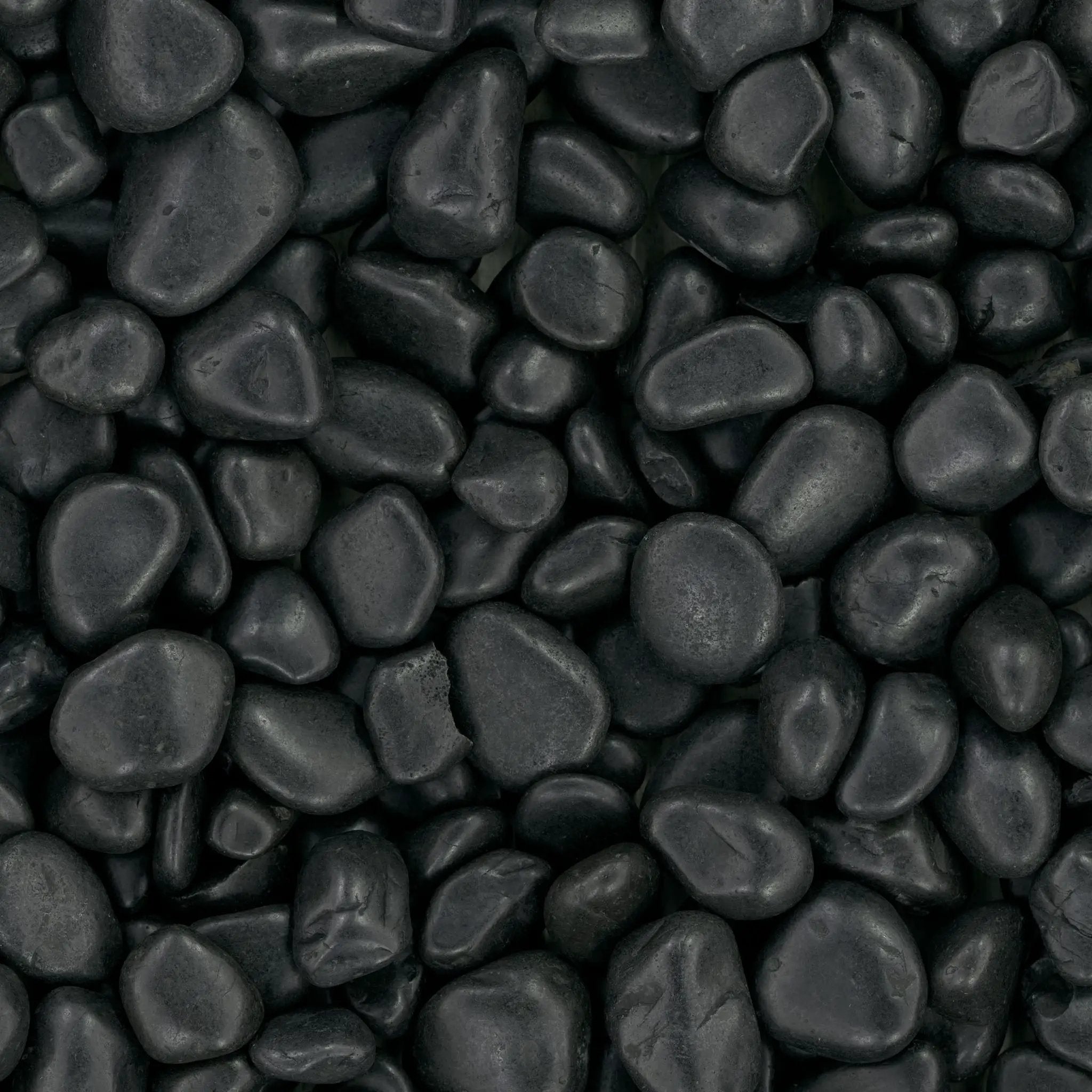 Black Polished Pebbles Quartzite Pavers 4.50 inch close up