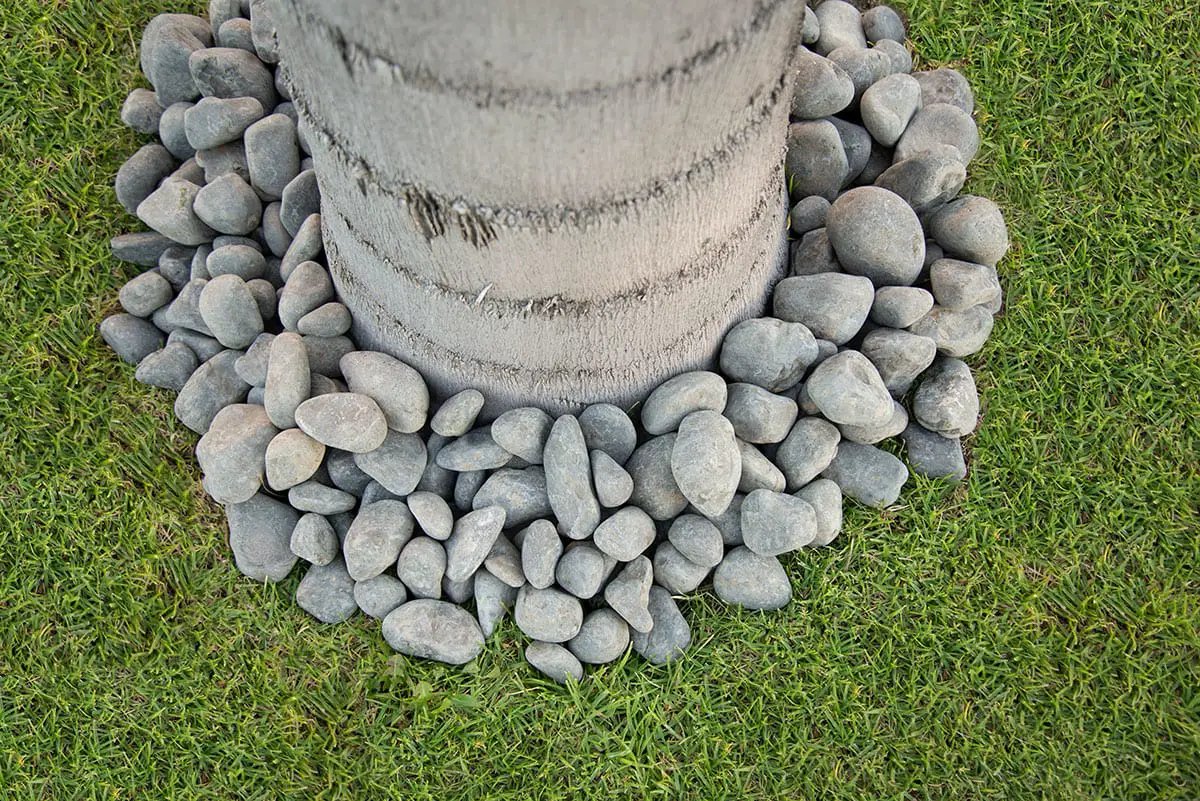 Nile Grey Pebbles Natural Quartzite Pavers in a finished room