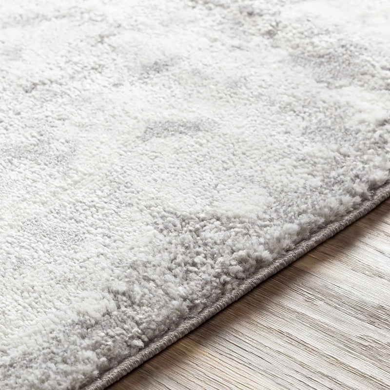 Elsa Area Rug by Boutique Rugs