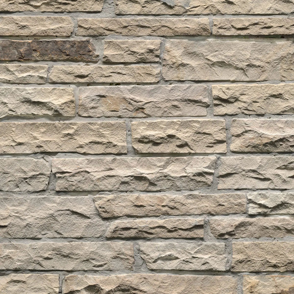 Fossil Rustic Ledgestone Natural Sandstone Pavers