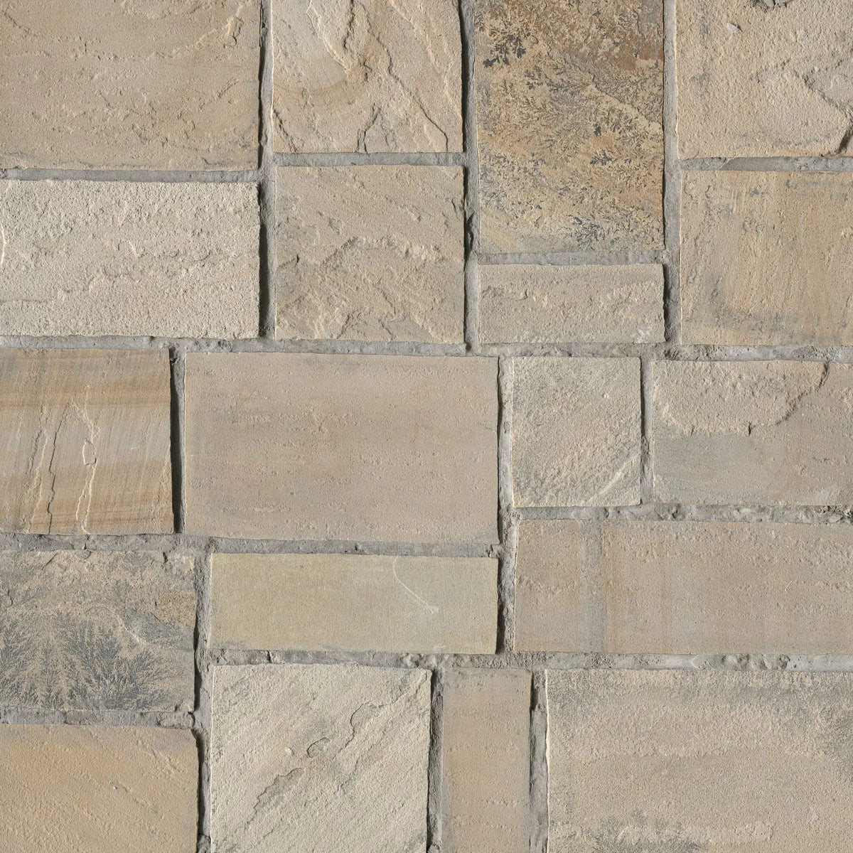 Fossil Rustic Squares Rectangles Natural Sandstone Pavers by MSI Surfaces