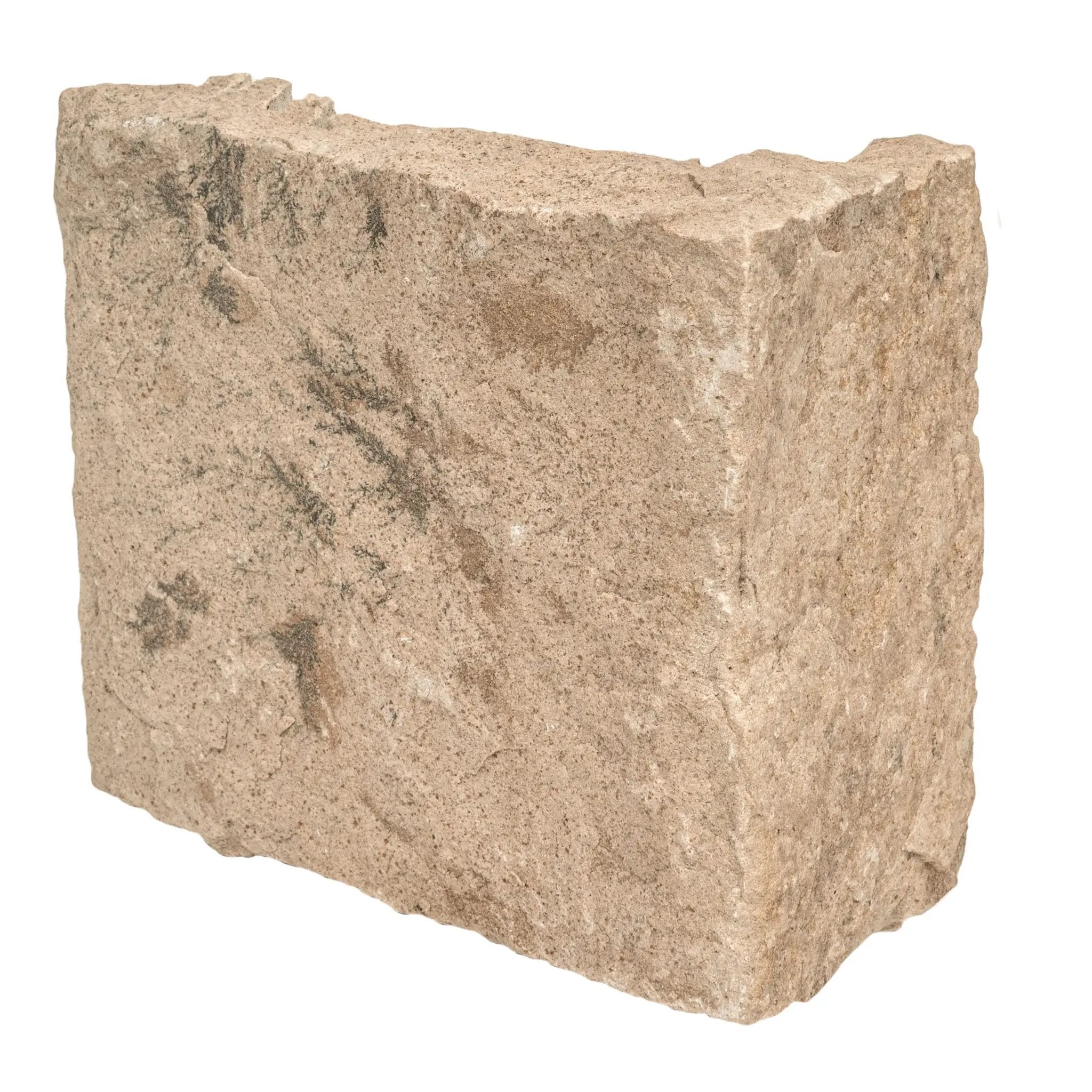 Fossil Rustic Squares Rectangles Natural Sandstone Pavers COR close up