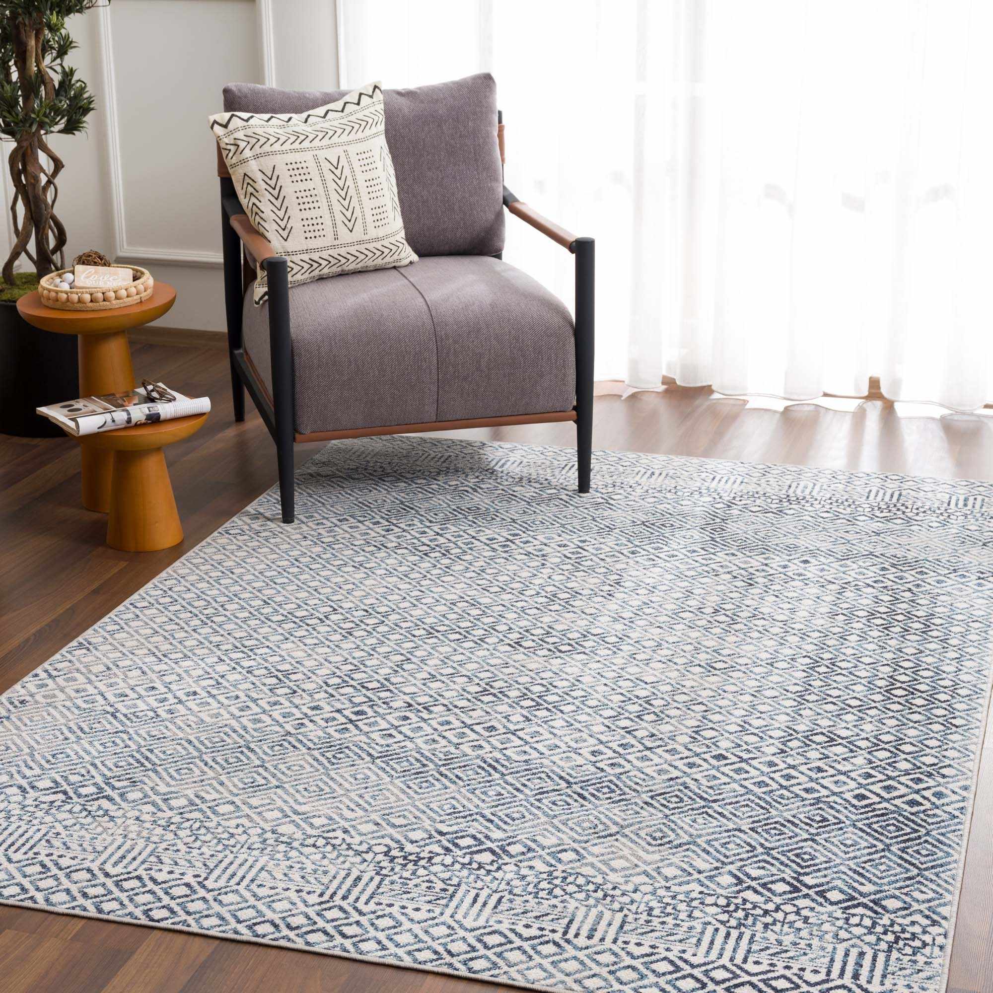 Askeaton Washable Area Rug - Clearance by Boutique Rugs