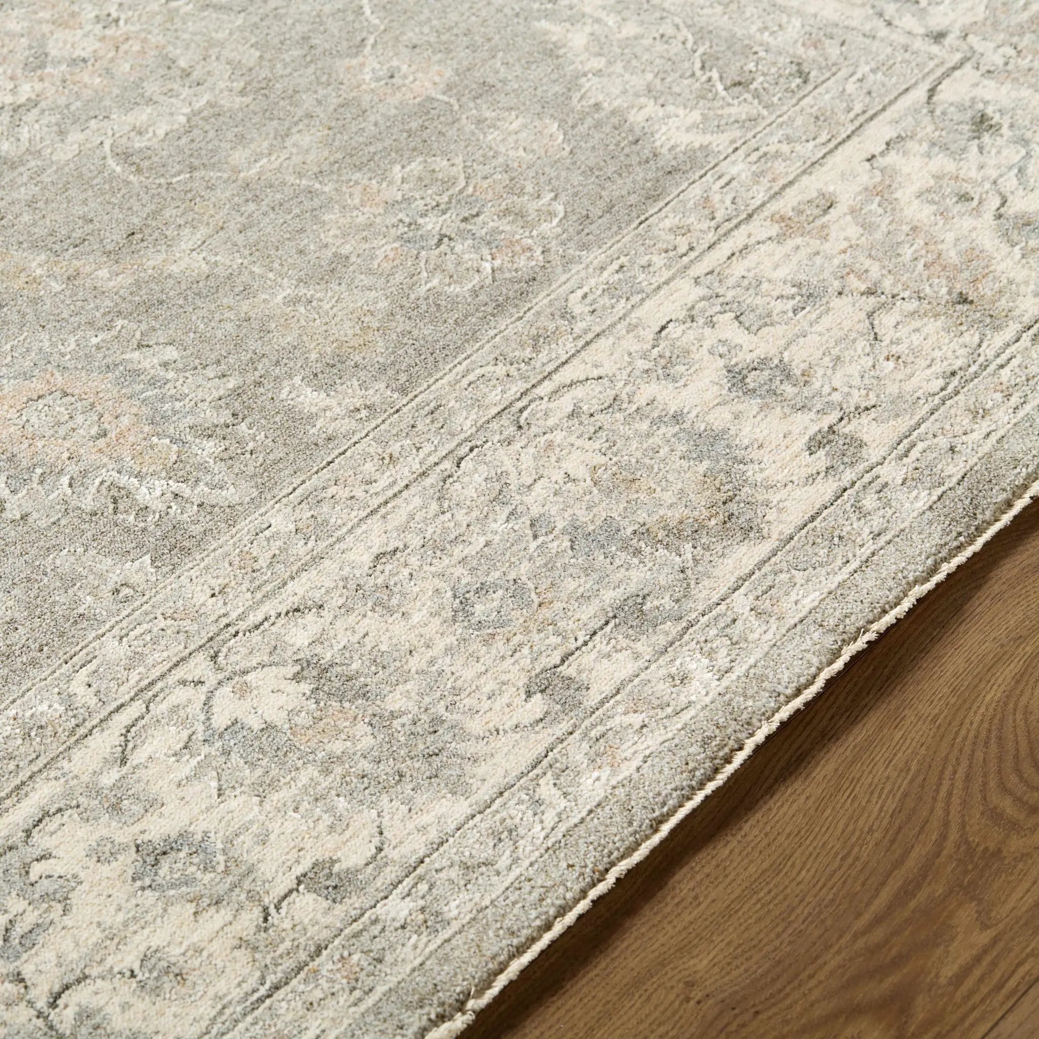Alinae Area Rug by Boutique Rugs