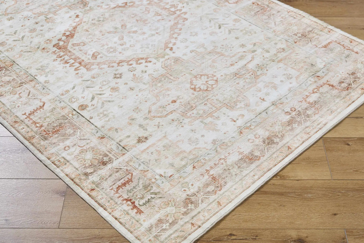 Laran Rust Distressed Washable Area Rug - Clearance, photo 9 of 12