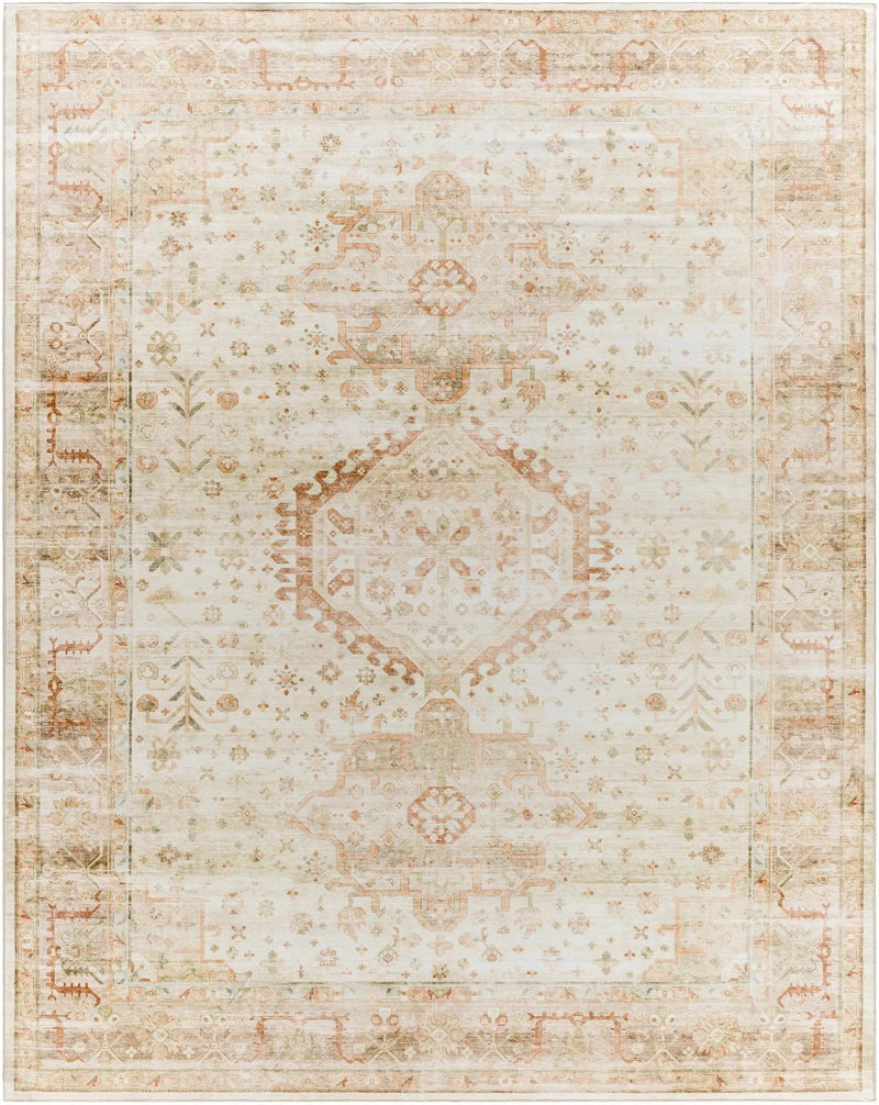 Laran Rust Distressed Washable Area Rug - Clearance by Boutique Rugs