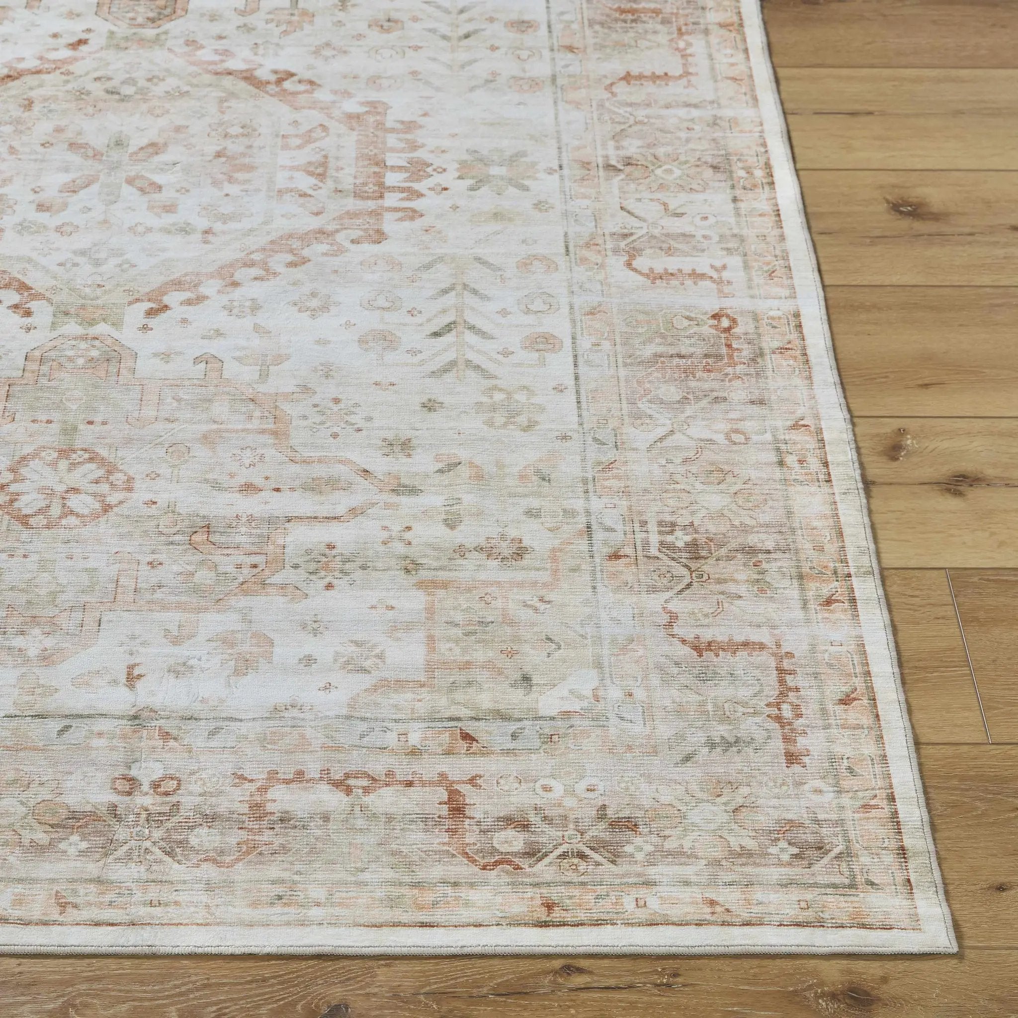 Laran Rust Distressed Washable Area Rug - Clearance by Boutique Rugs