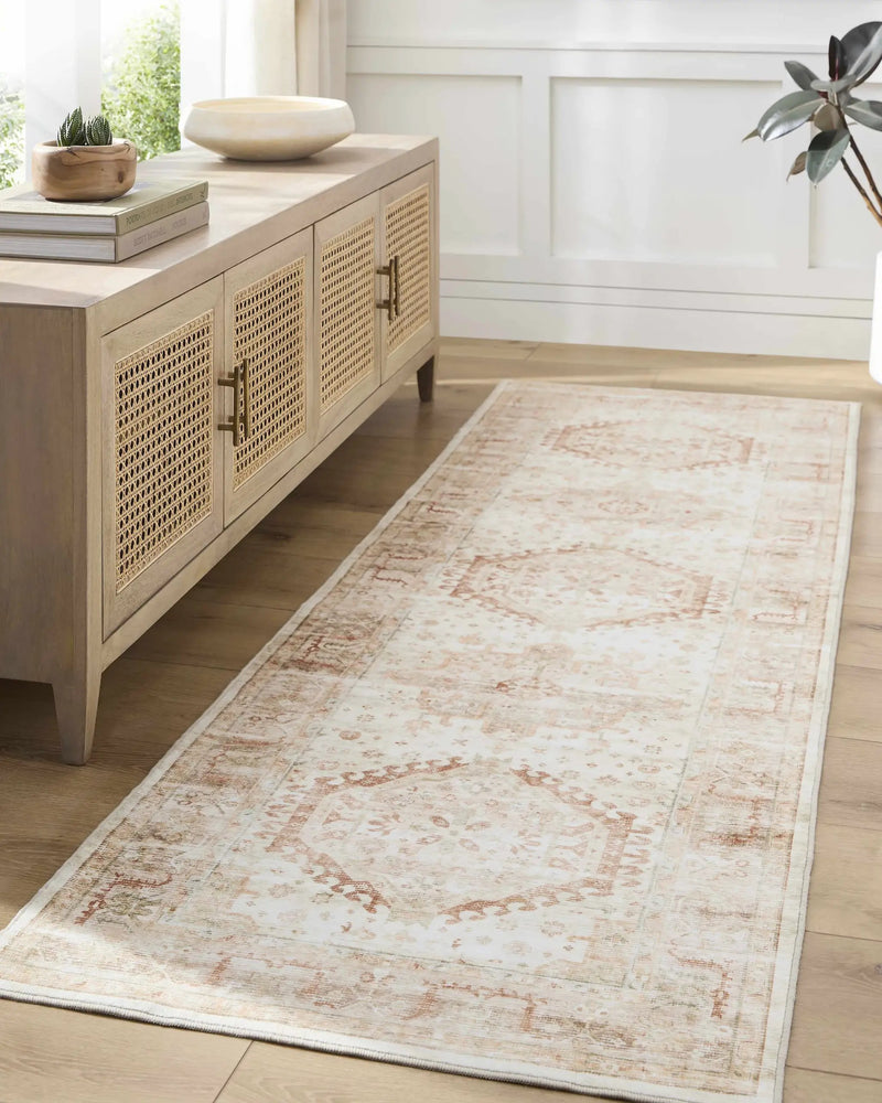 Laran Rust Distressed Washable Area Rug - Clearance by Boutique Rugs