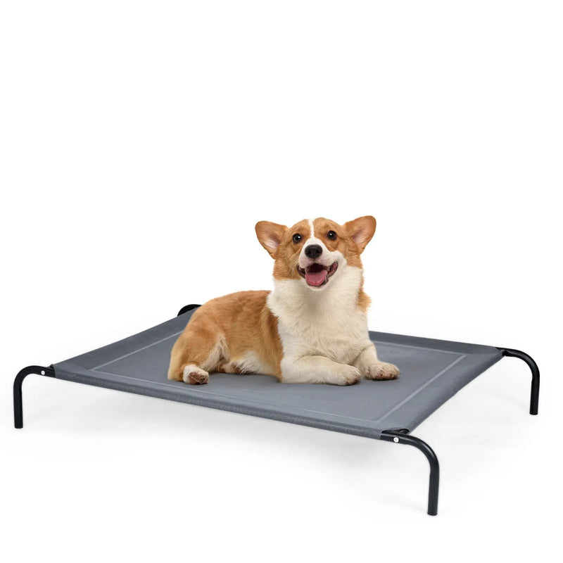 Large Indoor Outdoor Camping Steel Frame Elevated Pet Cot Mat by DirectDeals