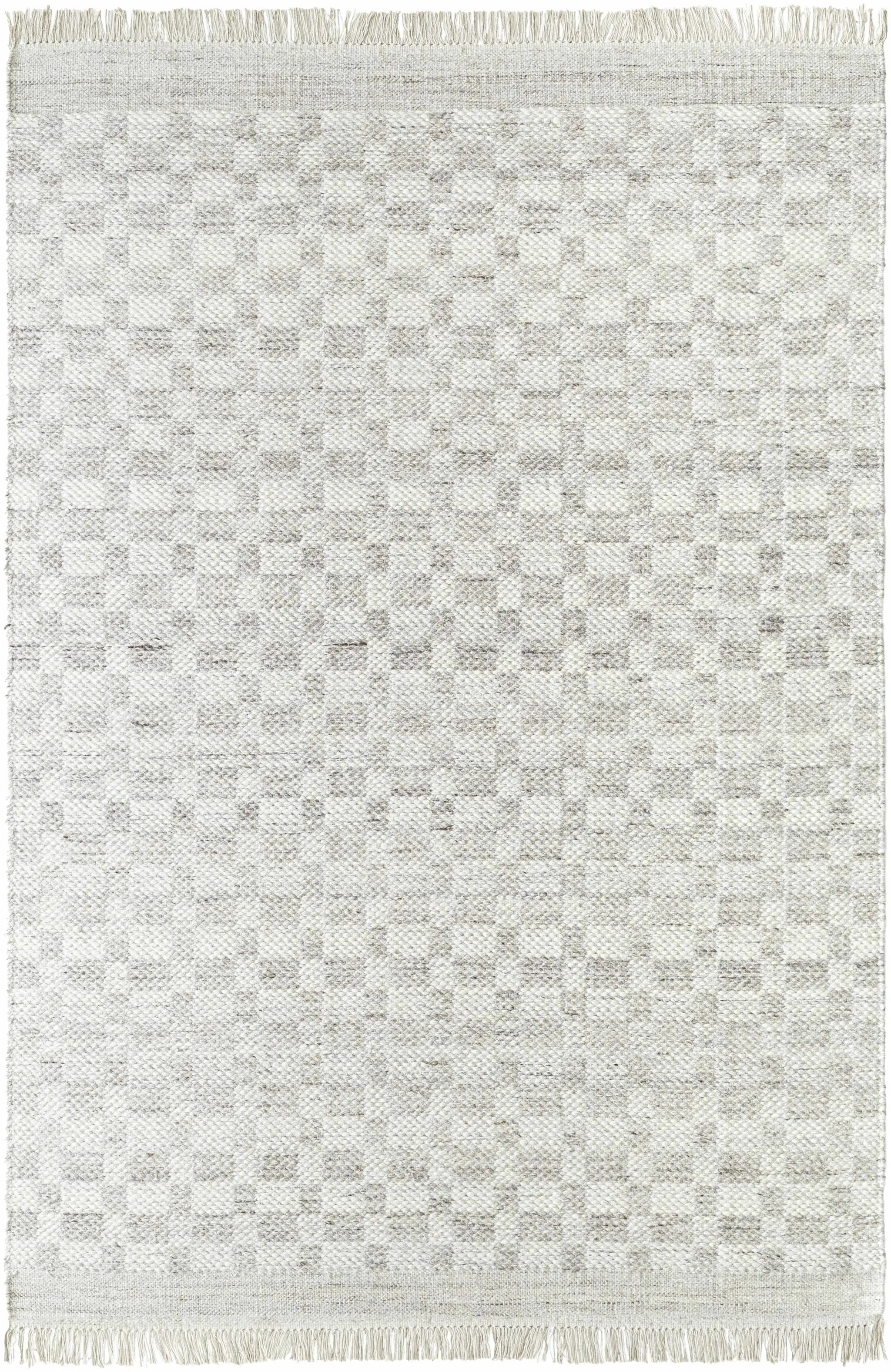 Meira Medium Gray Area Rug - Clearance by Boutique Rugs