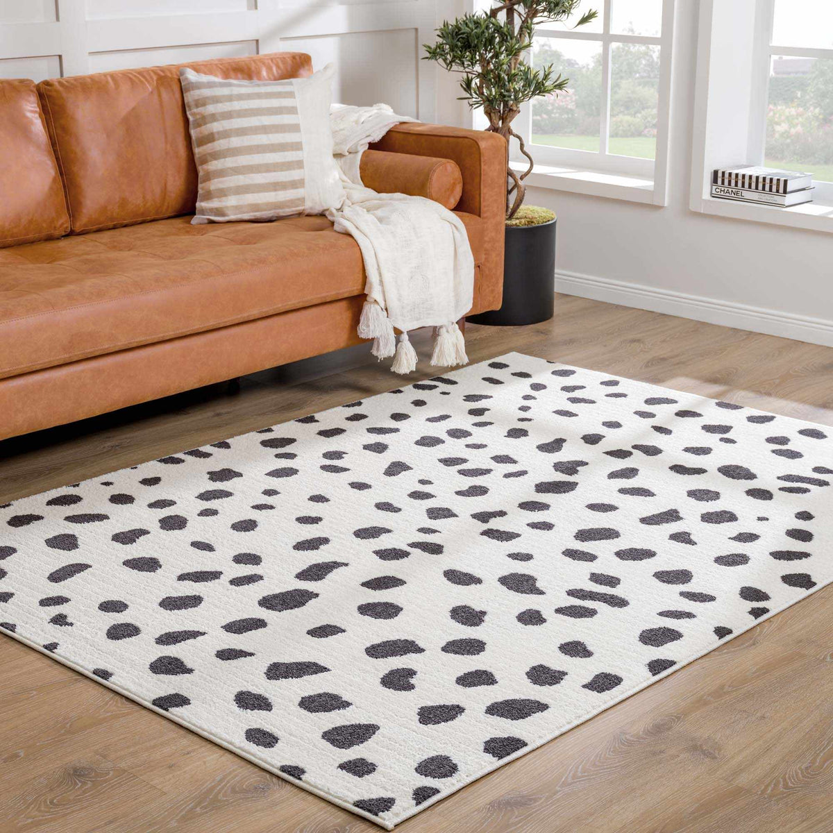 Tariffville Dalmatian Rug, installed in a room
