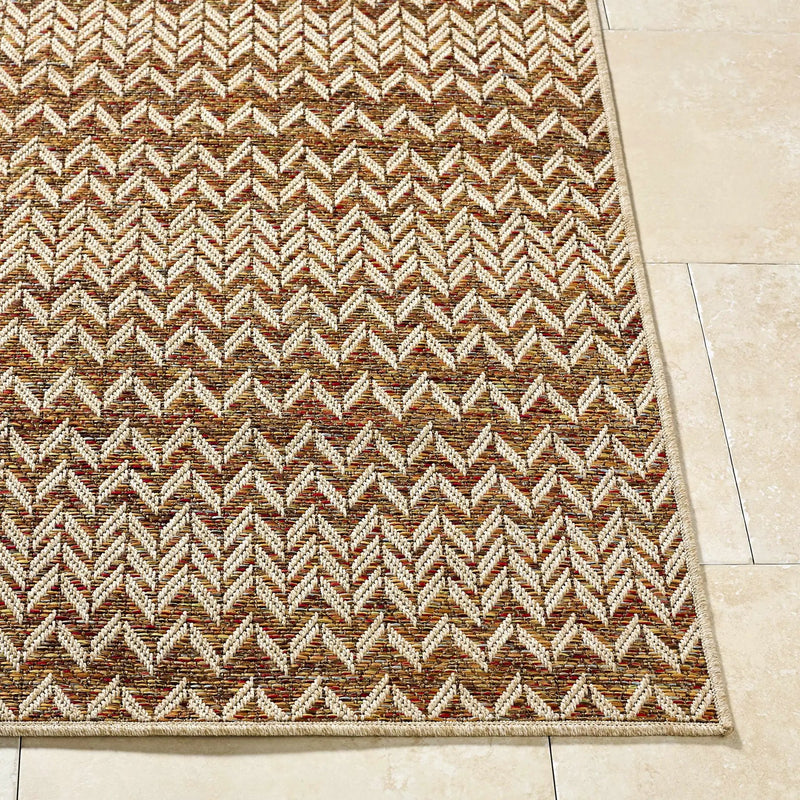 Alazne Burnt Orange Outdoor Area Rug by Boutique Rugs