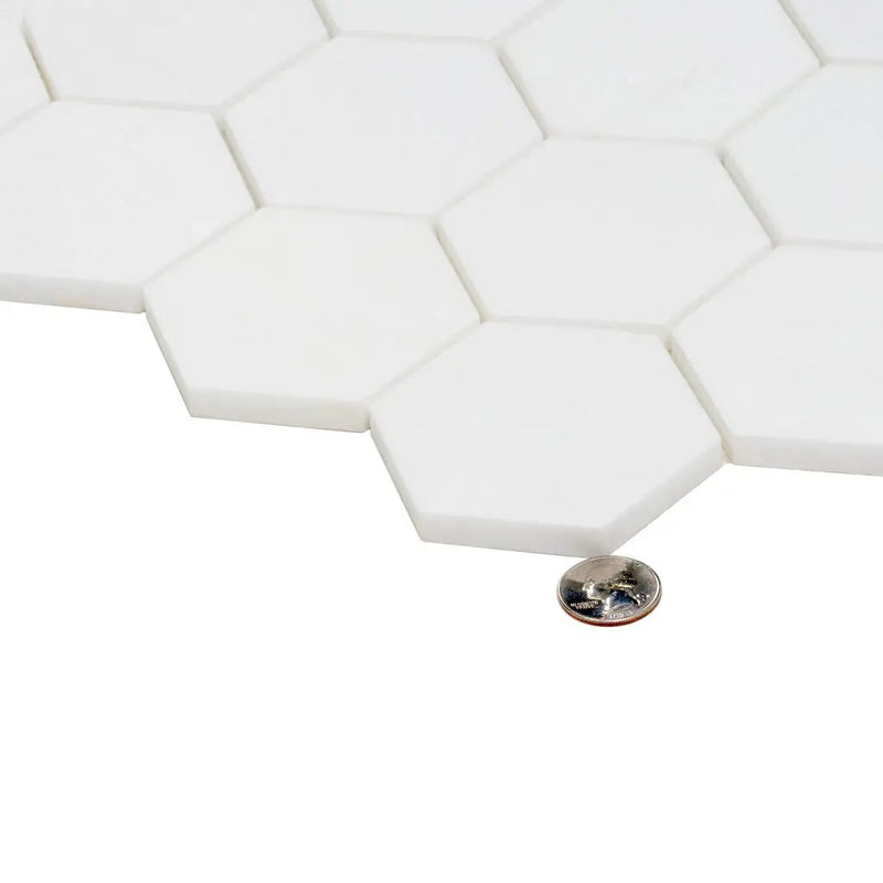 Snow White 10x12 Honed Hexagon Thassos Marble Mosaic Tile (5 pack, 4.46 sq ft/case) by Apollo Tile