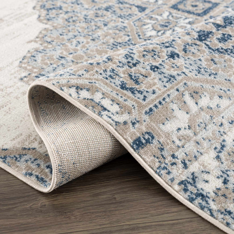Amir Area Rug by Hauteloom