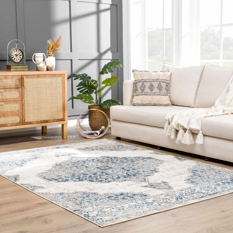 Amir Area Rug by Hauteloom