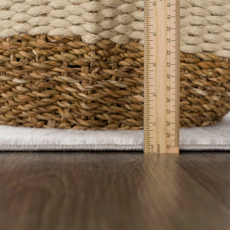 Elani Area Rug - Clearance by Boutique Rugs